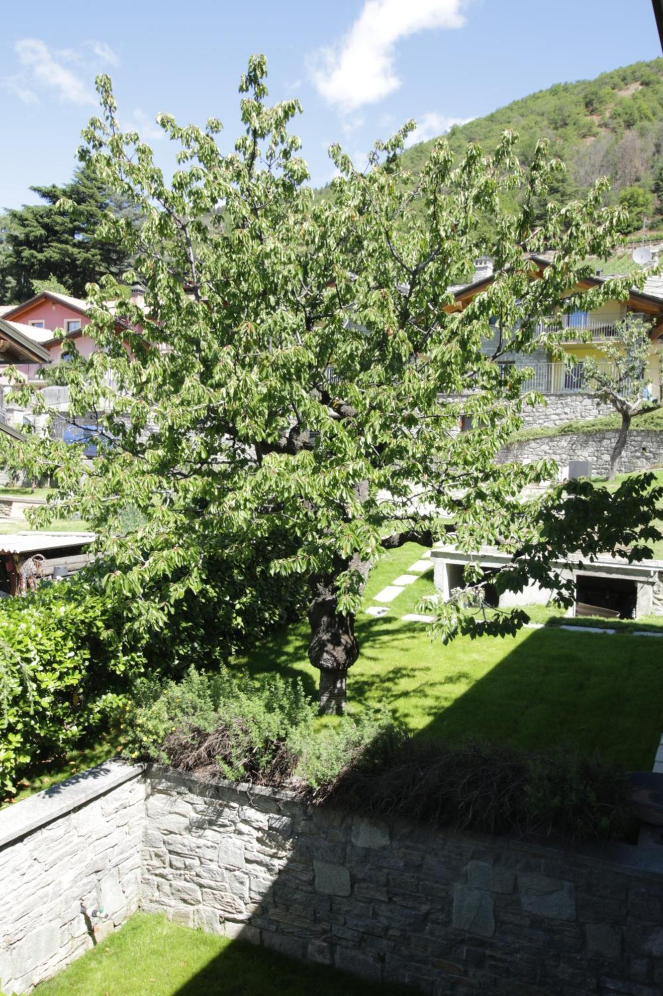 Style Apartments Vda Senin المظهر الخارجي الصورة
